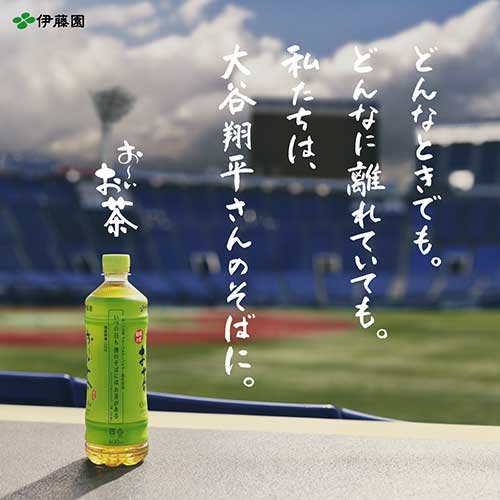 Itoen Oi Ocha Unsweetened Green Tea 600ml