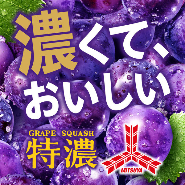 Asahi Mitsuya Grape Squash Tokuno 500ml