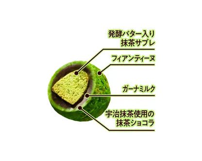Lotte Premium Ghana Sablé Chocolat Deep Uji Matcha 49g