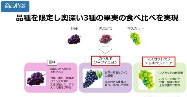 Kasugai Tsubu Gumi Premium Rich Grape Gummy Mix 75g