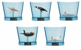 Bandai Bikkura Tamago DX Aquarium Series Ocean Animal Bath Ball With Surprise Toy 215g