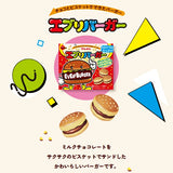 Bourbon Every Burger Chocolate Biscuit Cookies 66g