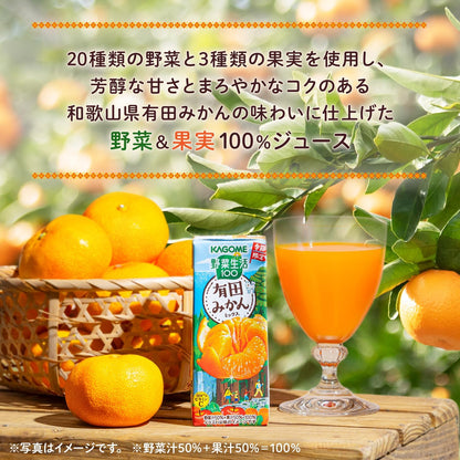 Kagome Vegetable Life 100 Arita Mandarin Mixed Juice 195ml
