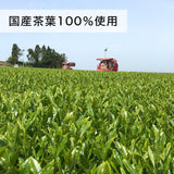 Itoen Oi Ocha Pure Green Tea 600ml