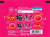 Lion Umedori Kishu Plum Hard Candy 10pcs