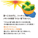 Kirin Sekai no Kitchen Refreshing Salty Lime Drink 500ml