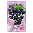 Tanio Foods At Home Freeze Series Grape Sorbet Ice Bar 280g (70g x 4pcs)