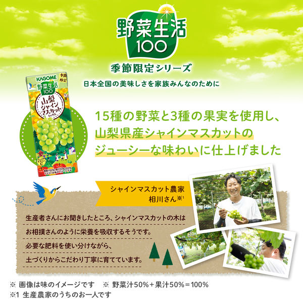 Kagome Vegetable Life 100 Yamanashi Shine Muscat Mix Juice 195ml