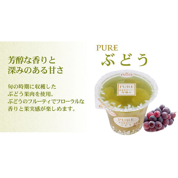 Tarami Pure Mikan Fruit Jelly Cup 270g