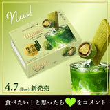 Lotte Premium Ghana Sablé Chocolat Deep Uji Matcha 49g