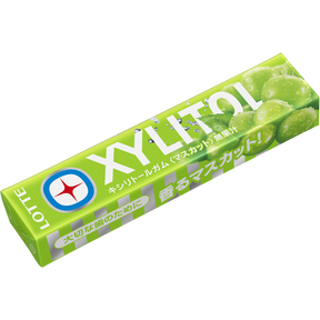 Lotte Xylitol Sugar-Free Gum Muscat 21g