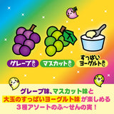 Lotte Fuseno Mi Colorful Mix Bubble Gum 35g