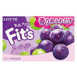 Lotte Fit's Grape Mix Chewing Gum 12pcs