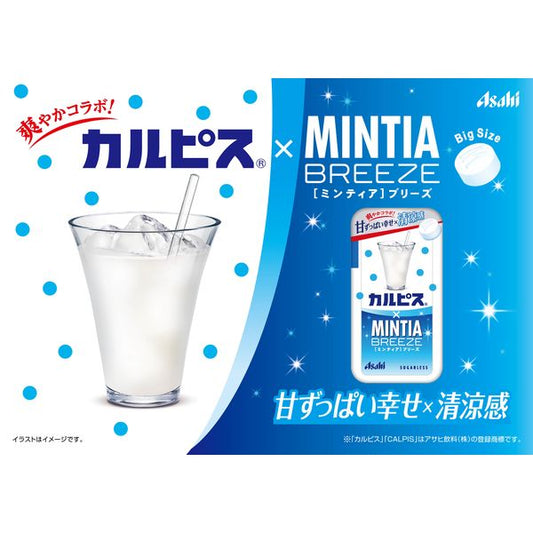 Asahi Mintia Breeze Calpis Flavor Sugarless Mints 22g