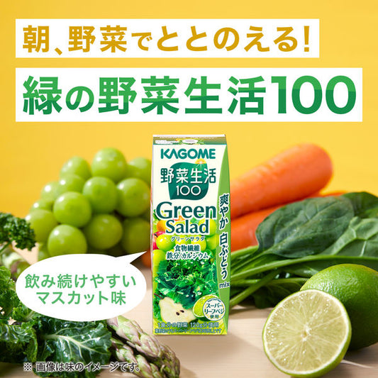 Kagome Vegetable Life 100 Green Salad Mixed Fruit And Vegetable Juice 200ml
