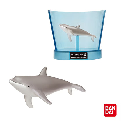 Bandai Bikkura Tamago DX Aquarium Series Ocean Animal Bath Ball With Surprise Toy 215g