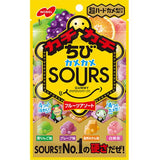 Nobel Kamekame Sours Chibi Fruit Assort Hard Gummy 70g – Sour Japanese Gummies