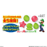 Bandai Super Mario Hatena Block Mystery Flavor Gummy 41g