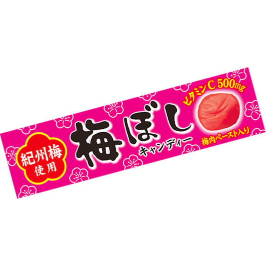Lion Umedori Kishu Plum Hard Candy 10pcs