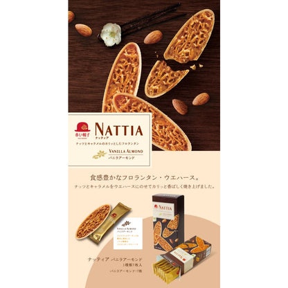 Akai Bohshi NATTIA Vanilla Almond Caramel Florentine Wafer Confections 7 pcs